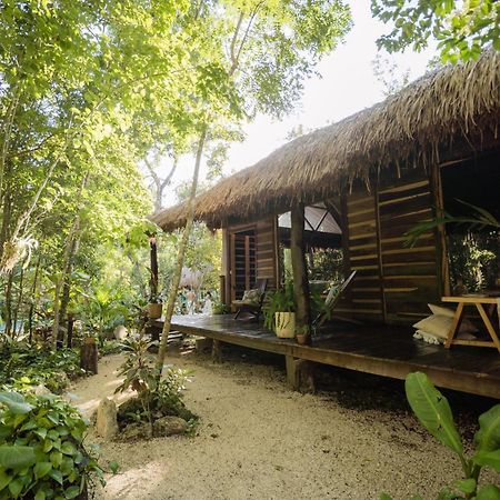 Madre Tierra Eco Habitat Guest House Puerto Morelos Exterior foto