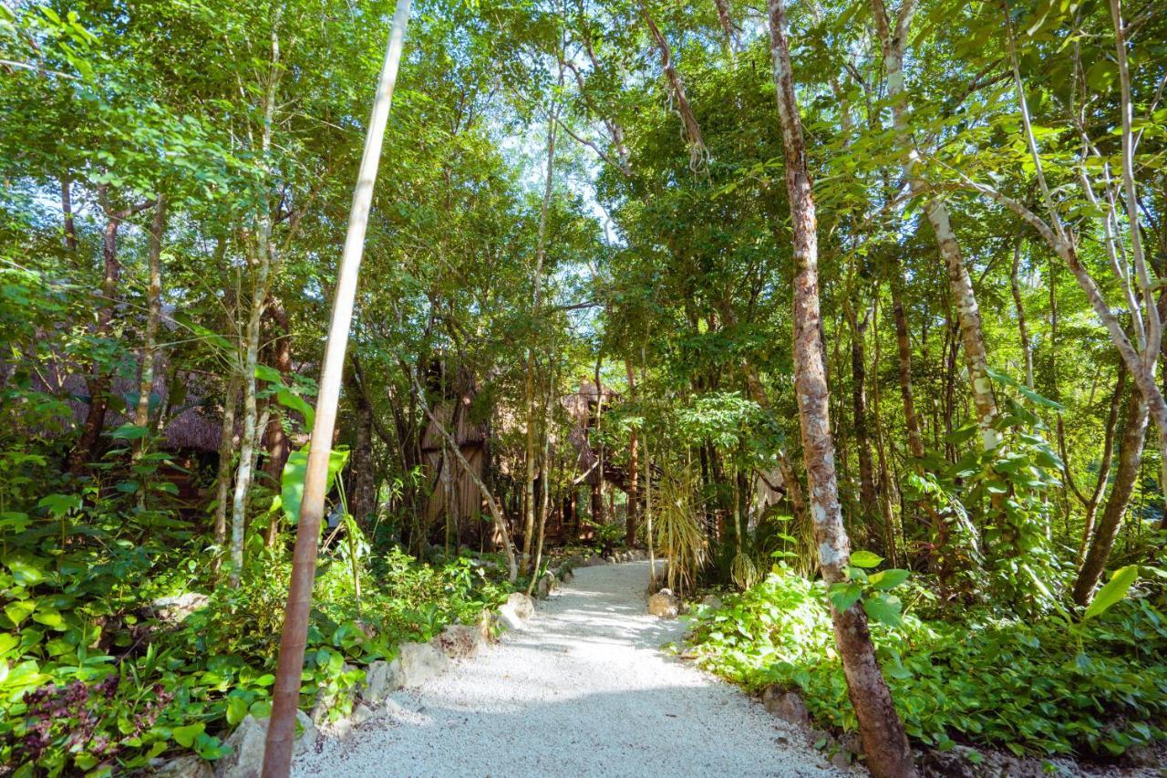 Madre Tierra Eco Habitat Guest House Puerto Morelos Exterior foto