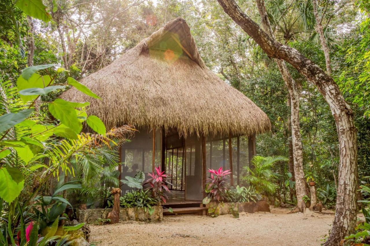 Madre Tierra Eco Habitat Guest House Puerto Morelos Exterior foto