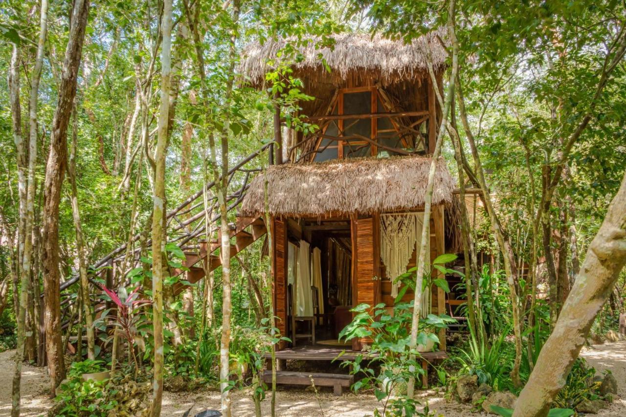 Madre Tierra Eco Habitat Guest House Puerto Morelos Exterior foto
